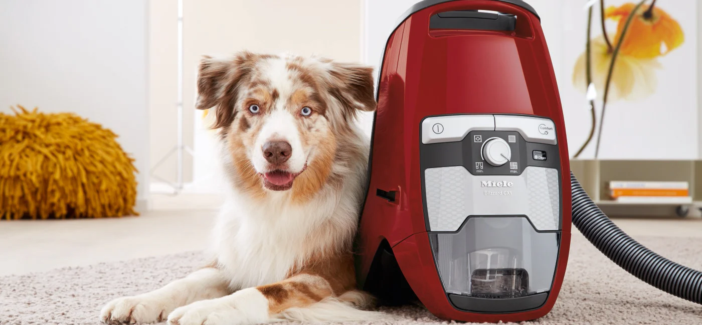 The best vacuums for removing pet hair from your carpets